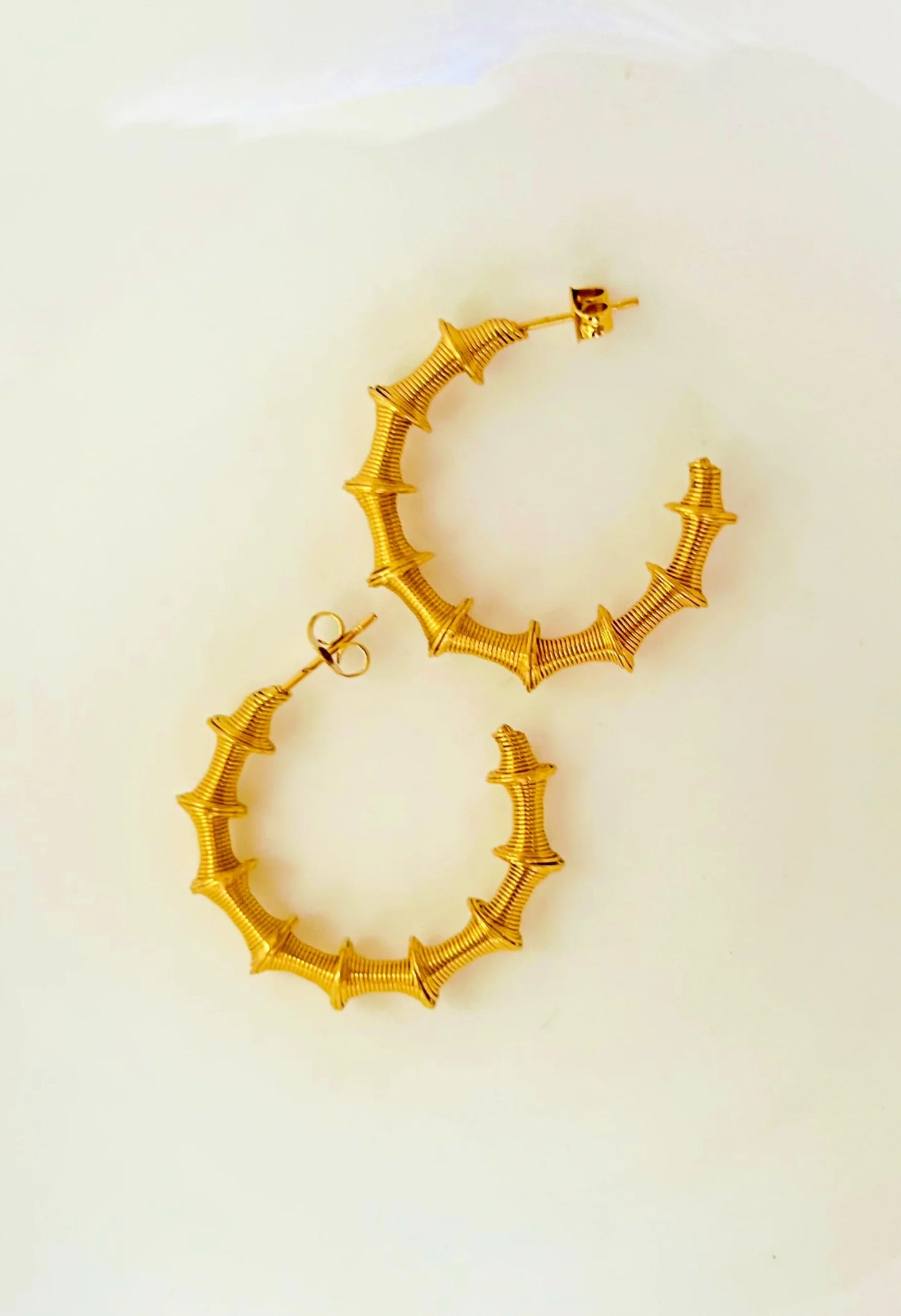 Spiral Hoops Earring