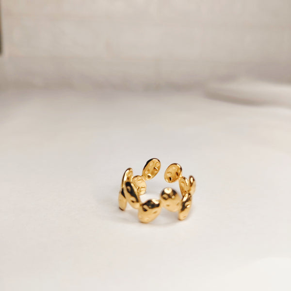 Golden Embrace Adjustable Heart Ring