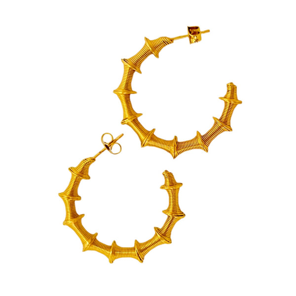 Spiral Hoops Earring