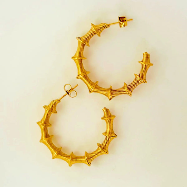 Spiral Hoops Earring